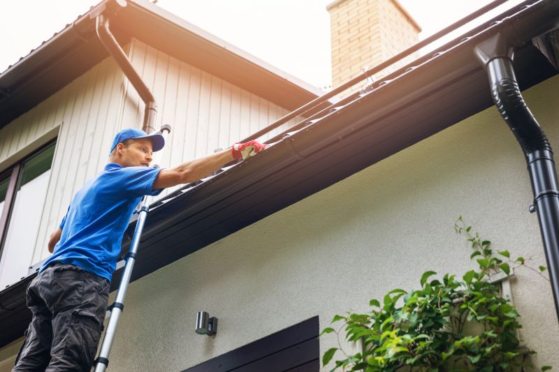 Cleaning Gutters from a Ladder