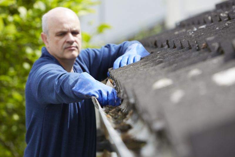 Residential Gutter Cleaning Service