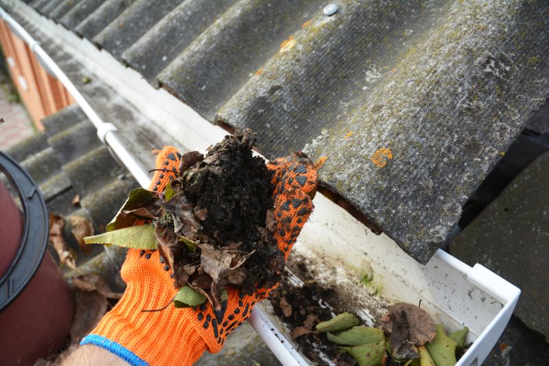 Professional Gutter Cleaning