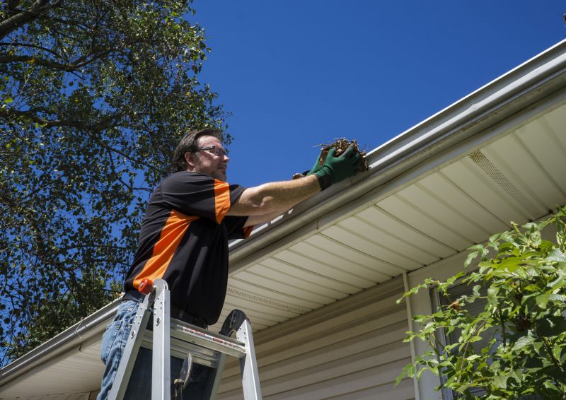 Spring Gutter Maintenance